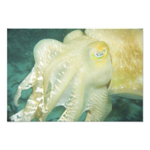 Indonesien, Provinz Süd-Sulawesi, Wakatobi Fotodruck