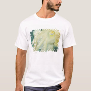 Indonesien, Provinz Südsulawesi, Wakatobi T-Shirt