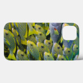 Indonesien. Schooling Fisch Case-Mate iPhone Hülle (Rückseite (Horizontal))