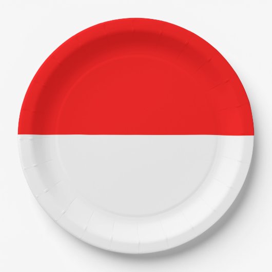 indonesische Flagge (Indonesien) Papierplatte Pappteller (Vorderseite)