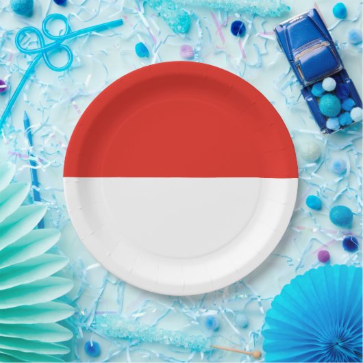 Indonesische Flagge Pappteller (Party)
