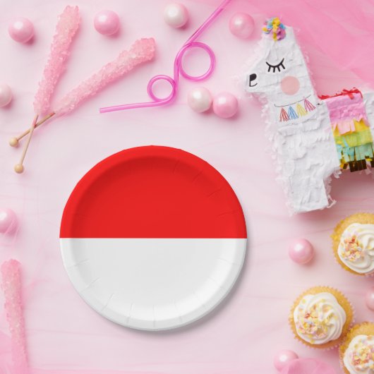 Indonesische Flagge Pappteller (Party)