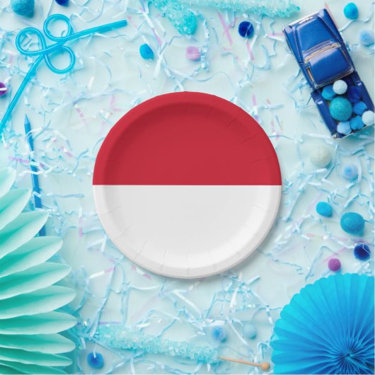 Indonesische Flagge Pappteller (Party)
