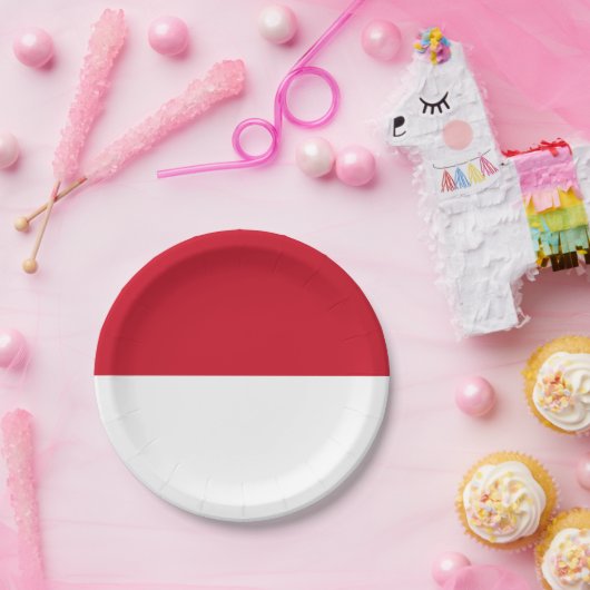 Indonesische Flagge Pappteller (Party)