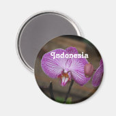 indonesische Orchideen Magnet (Vorderseite/Rückseite)