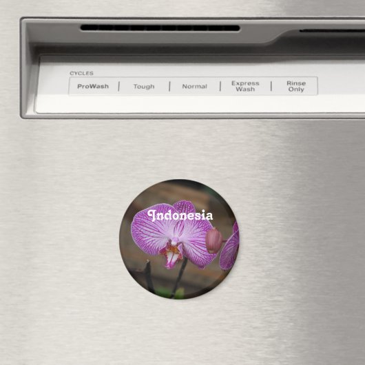 indonesische Orchideen Magnet (In Situ (Geschirrspüler))