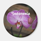 indonesische Orchideen Magnet (Vorne)