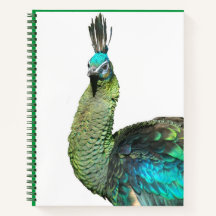 Indonesische Peacock Face-Notebook