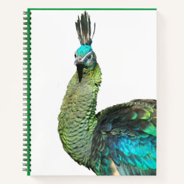 Indonesische Peacock Face-Notebook Notizblock