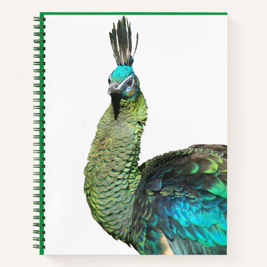 Indonesische Peacock Face-Notebook Notizblock (Vorderseite)