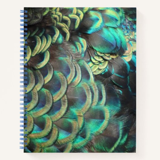 indonesische Peacock Feathers-Muster-Notebook Notizblock (Vorderseite)