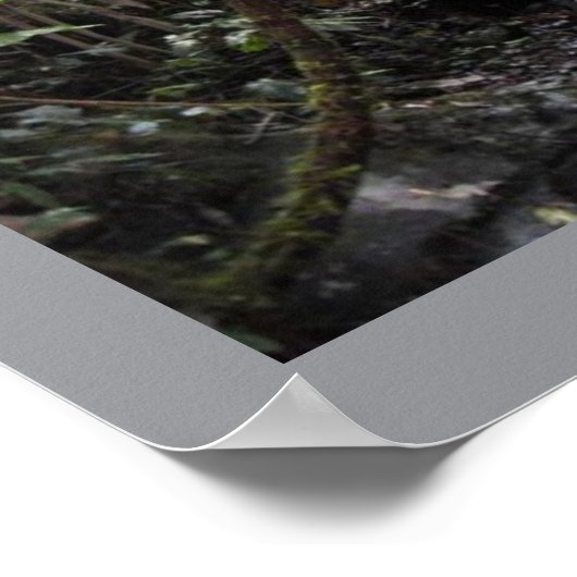 Indonesische Schauplakate Poster (Ecke)