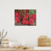 Indonesische Wax Ginger Poster (Küche)