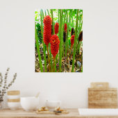 Indonesische Wax Ginger Poster (Küche)