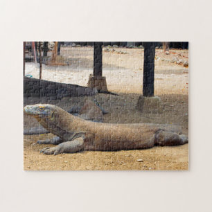 Indonesischer Nationalpark Komodo-Drache. Puzzle