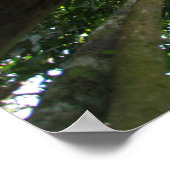 Indonesischer Regenwald Poster (Ecke)