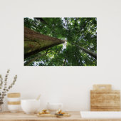 Indonesischer Regenwald Poster (Küche)