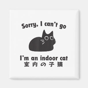 Indoor Cat Entschuldigung Funny Kitten Im Bleibe Z Magnet