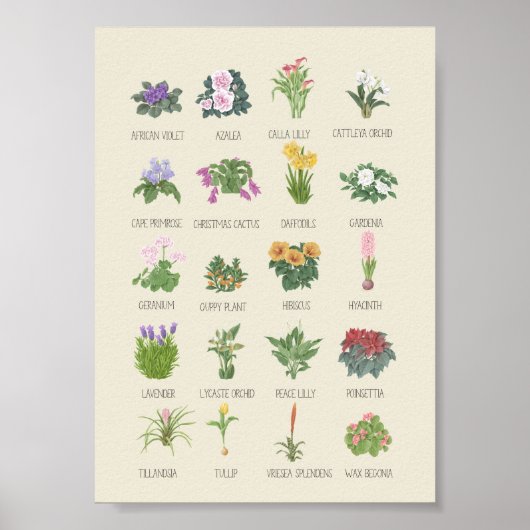 Indoor Pflanze + Names Gardener Pflanze Liebhaber Poster (Vorne)