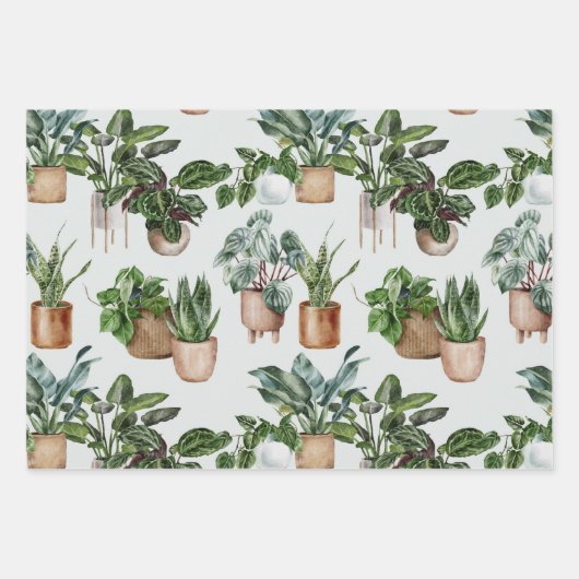 Indoor Plants Wrapping Paper Geschenkpapier Set (Vorderseite)