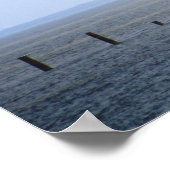 Industrieschwalbe in der Farbe des Golfs 16x20 Poster (Ecke)