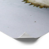 Infamous Durian Fruit Poster (Ecke)