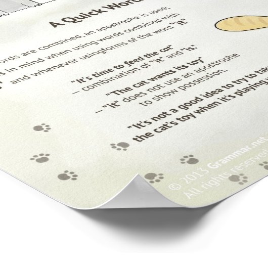 Infamous -S: Plural, 3d person singular, besitzess Poster (Ecke)