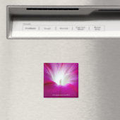 Infini (heller) magnet (In Situ (Geschirrspüler))