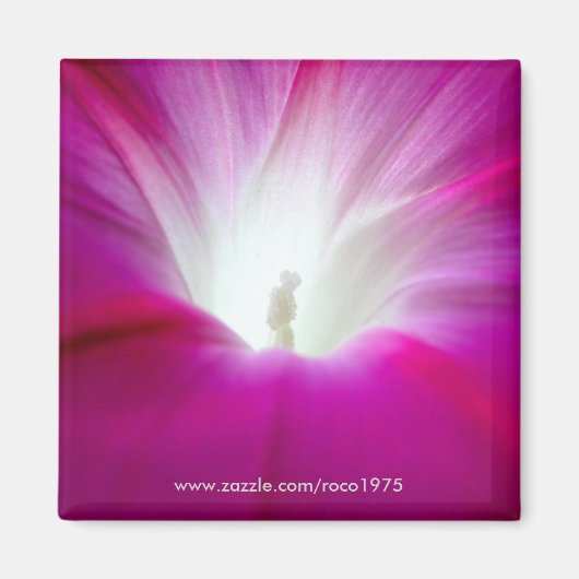 Infini (heller) magnet (Vorne)