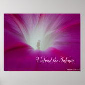 Infini Poster (Vorne)