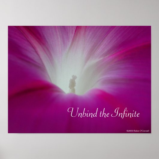 Infini Poster (Vorne)