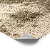 Infiniti G35 Coupe Poster (Ecke)