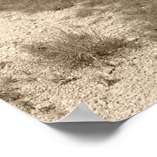 Infiniti G35 Coupe Poster (Ecke)