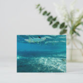 Infinity Blue Postkarte (Stehend Vorderseite)