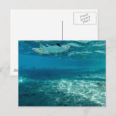 Infinity Blue Postkarte (Vorne/Hinten)