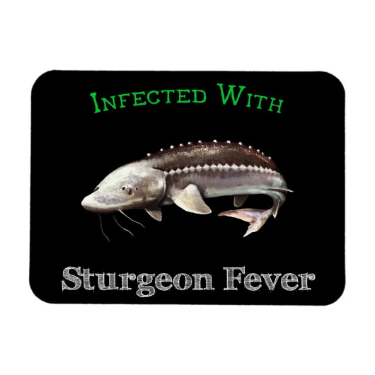 Infiziert mit Sturgeon Fieber Magnet (Horizontal)