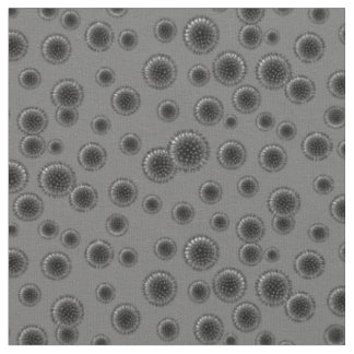 Influenza Gray Stoff
