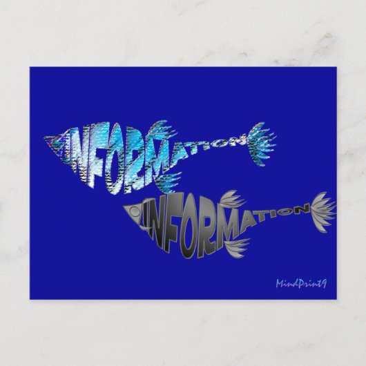Info Fish Postkarte (Vorderseite)