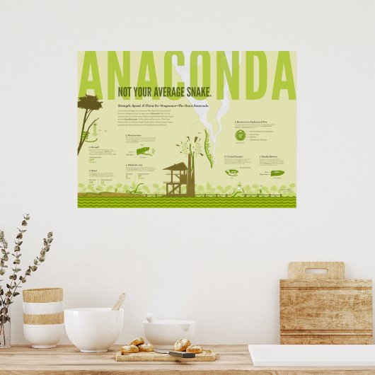 Infografik: Anaconda Poster (Küche)