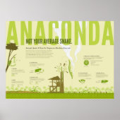 Infografik: Anaconda Poster (Vorne)