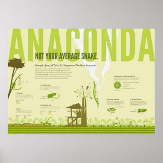 Infografik: Anaconda Poster