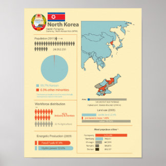 Infografik Nordkorea Poster