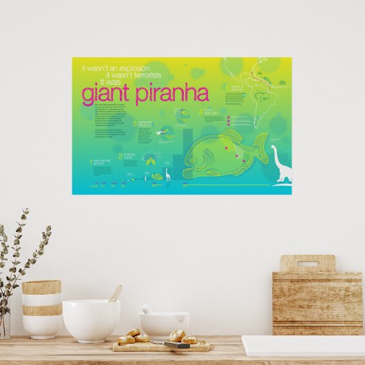 Infografik: Riese Piranha Poster (Küche)