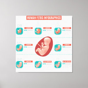 Infografiken des menschlichen Fetus Leinwanddruck