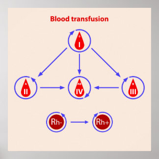 infographische Bluttransfusion Poster