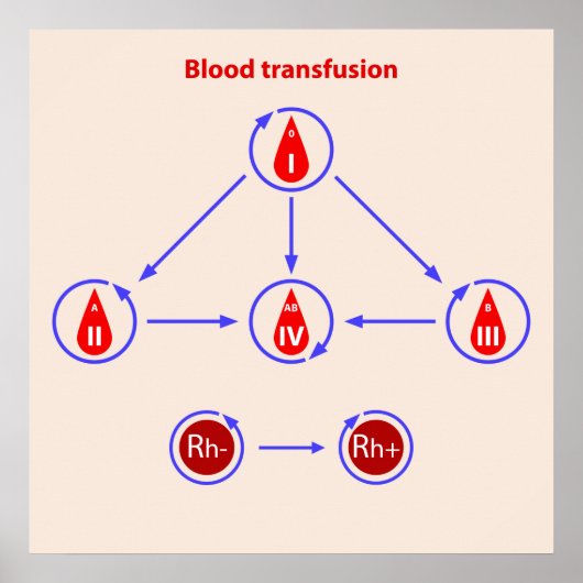 infographische Bluttransfusion Poster (Vorne)