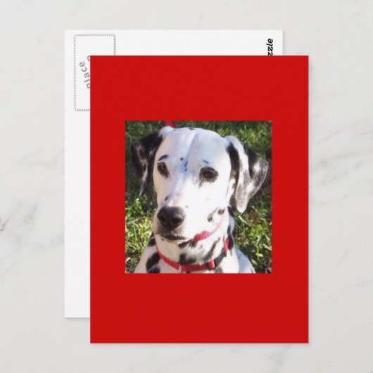 Information Postkarte (Vorne/Hinten)