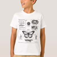 Informationen über Monarch Butterfly