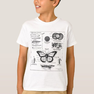 Informationen über Monarch Butterfly T-Shirt