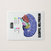 Informations-Übergangsinnere (Gehirn-Anatomie) Puzzle (Horizontal)